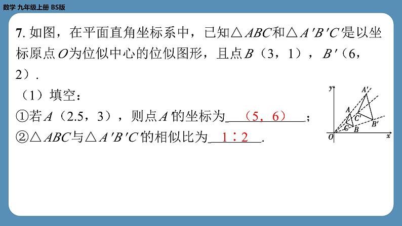 北师版九上数学4.8图形的位似（第二课时）（课外培优课件）第8页