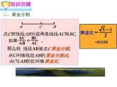 北师版九上数学第四章 图形的相似复习 教学课件