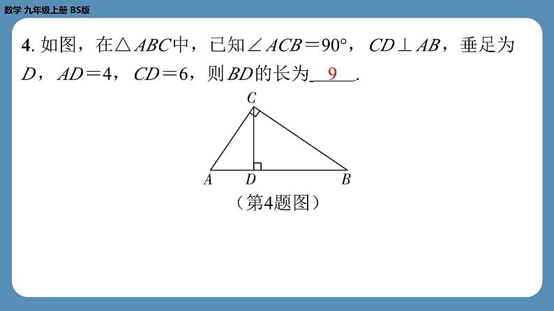 北师版九上数学专题6相似三角形的基本模型（课外培优课件）第5页