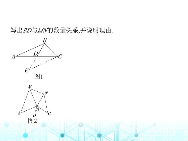 华东师大版初中八年级数学上册专项素养综合练(七)添加辅助线构造全等三角形的六大技巧课件07