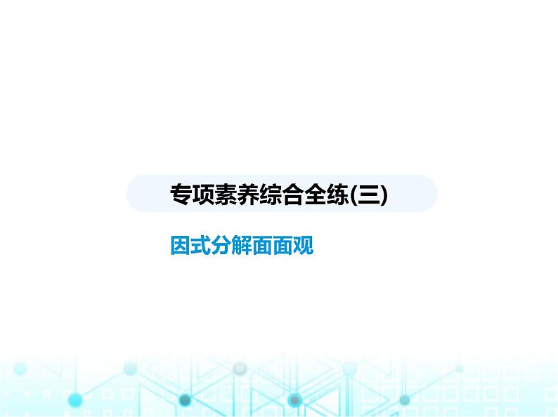 华东师大版初中八年级数学上册专项素养综合练(三)因式分解面面观课件第1页