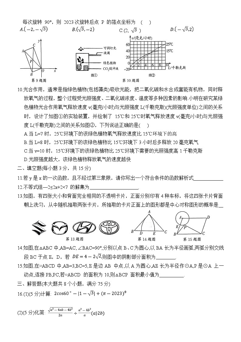 河南省周口市沈丘县三校联考2024届九年级下学期中考二模数学试卷(答案不全)02
