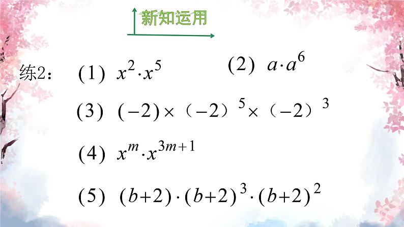 14.1.1 同底数幂的乘法  课件 2024—2025学年人教版数学八年级上册第8页