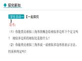 25.7.1 相似多邊形和圖形的位似(課件) 2024—2025學(xué)年冀教版數(shù)學(xué)九年級(jí)上冊(cè)