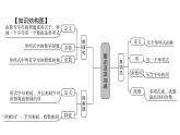北师版七上数学3.1字母表示数（课件）