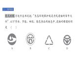 北师版七下数学5.1 轴对称现象（课件）