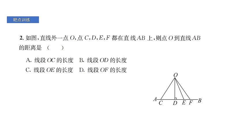 北师版七下数学第二章 相交线与平行线 靶点突破（课件）第8页