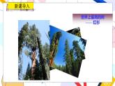 九年級(jí)數(shù)學(xué)湘教版上冊(cè) 第3章 3.5相似三角形的應(yīng)用 PPT課件