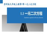 1.1 一元二次方程（同步课件）-2023-2024学年九年级数学上册（苏科版）