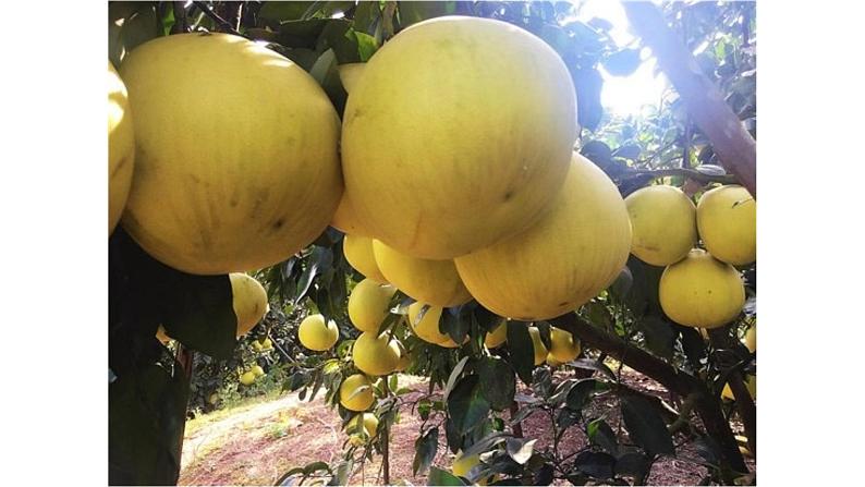 生活中的立体图形课件07