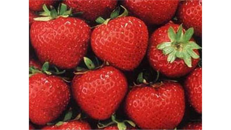 生活中的立体图形课件08