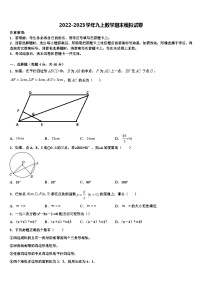 重庆巴川量子中学2022-2023学年九年级数学第一学期期末达标测试试题含解析