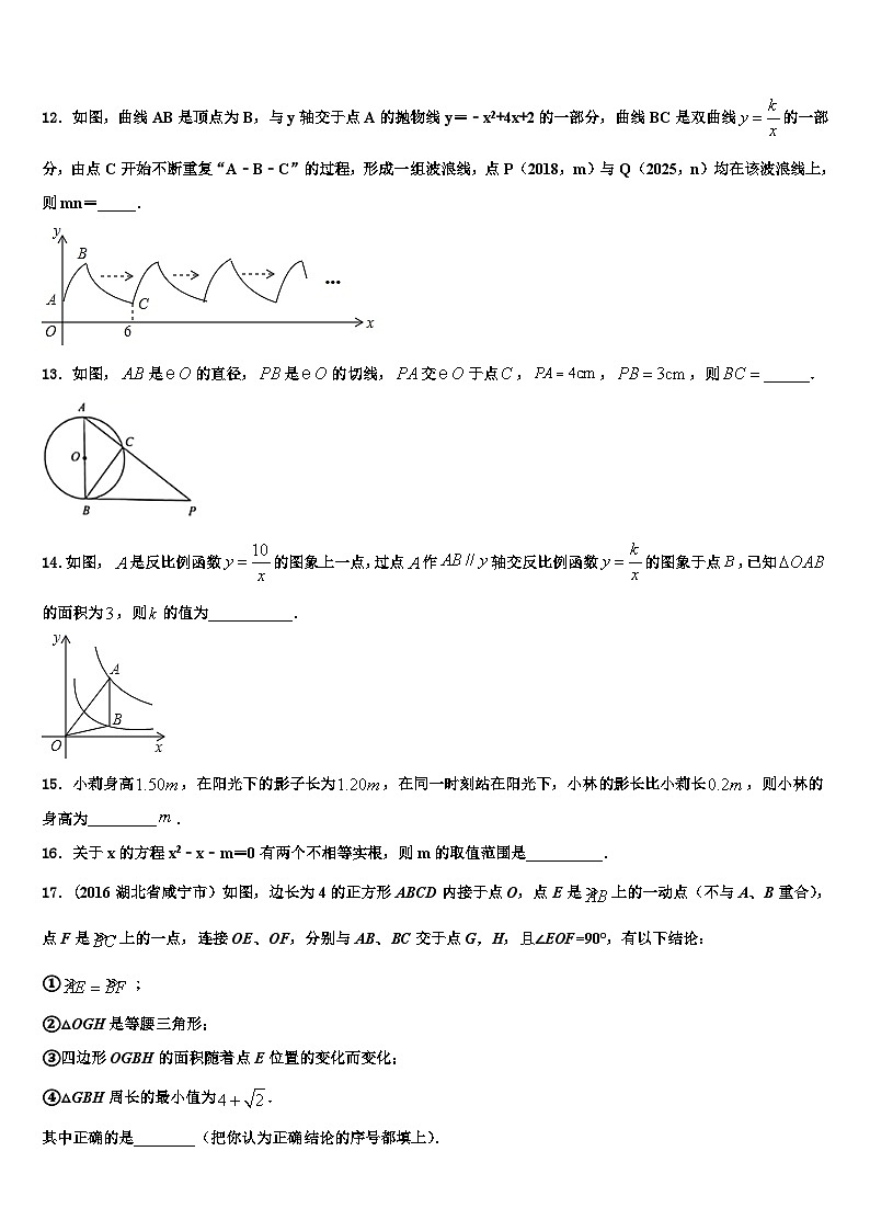 重庆市九龙坡区育才中学2022-2023学年数学九上期末考试试题含解析第3页