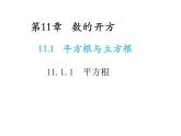 11.1.1 平方根 华东师大版数学八年级上册教学课件