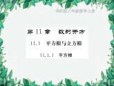 11.1.1 平方根 华东师大版数学八年级上册课件