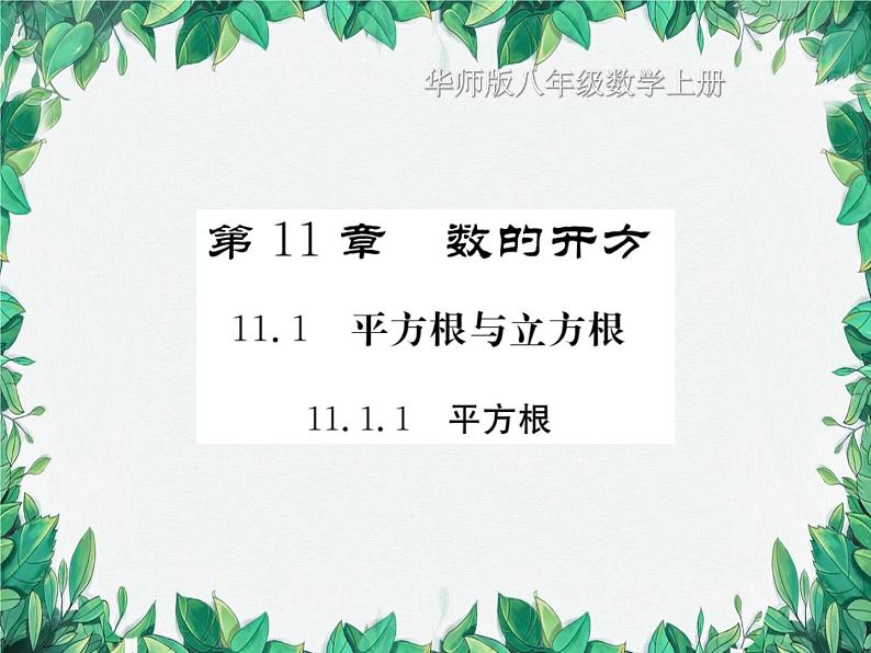 11.1.1 平方根 华东师大版数学八年级上册课件01