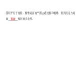北师七上数学第一章丰富的图形世界1.3截一个几何体（课件）