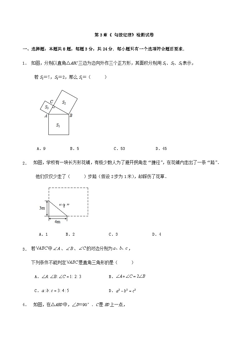 第3章《 勾股定理》检测试卷（解析版）01