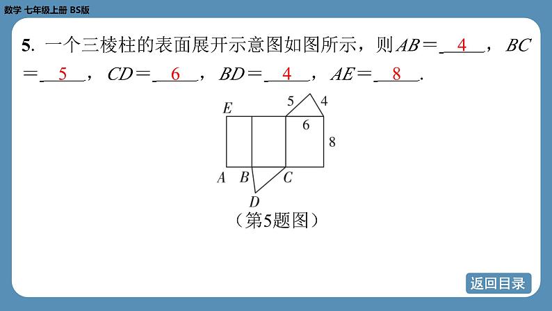 2024-2025学年度北师版七上数学-第一章-丰富的图形世界【课外培优课件】07