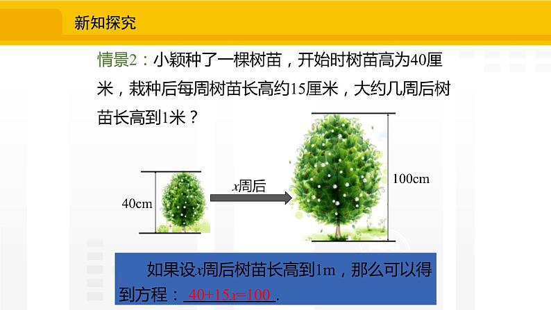 北师大版（2024版）七年级数学上册课件 5.1认识方程05