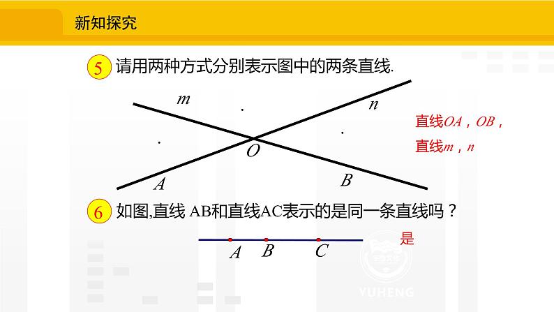 北师大版（2024版）七年级数学上册课件 4.1.1认识线段、射线、直线第8页