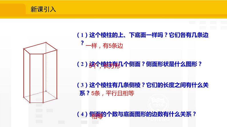 北师大版（2024版）七年级数学上册课件 1.2.2柱体与锥体的展开与折叠04