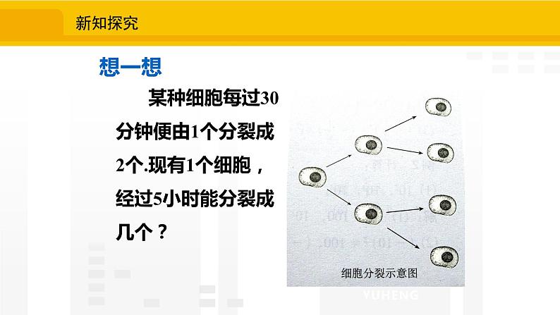 北师大版（2024版）七年级数学上册课件 2.4.1乘方第4页