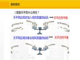 北师大版（2024版）七年级数学上册课件 5.2.1等式的基本性质