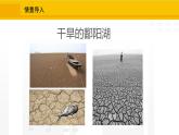 北师大版（2024版）七年级数学上册课件 6.2.1收集数据