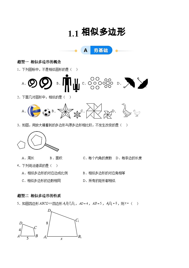 青岛版 初中数学 9上 1.1 相似多边形（分层作业）-2024-2025学年9上数学同步课堂（青岛版）01