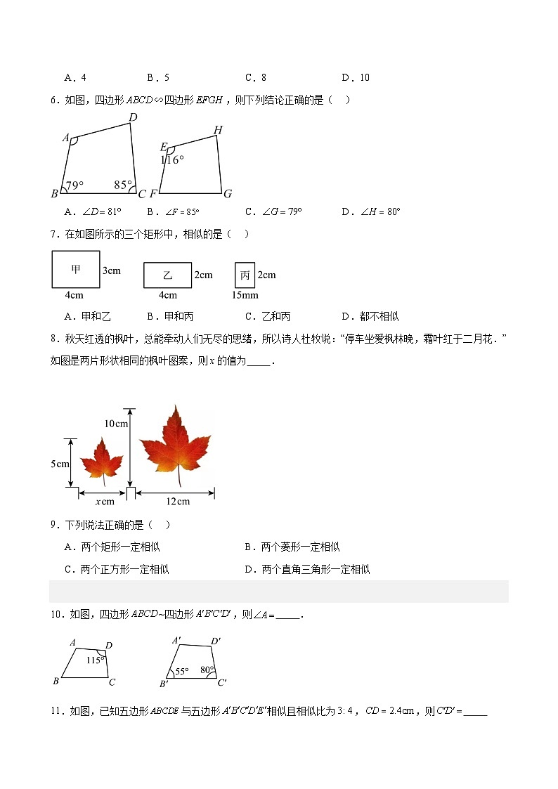 青岛版 初中数学 9上 1.1 相似多边形（分层作业）-2024-2025学年9上数学同步课堂（青岛版）02