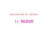 青岛版 初中数学 9上 1.1 相似多边形（同步课件）-2024-2025学年9上数学同步课堂（青岛版）