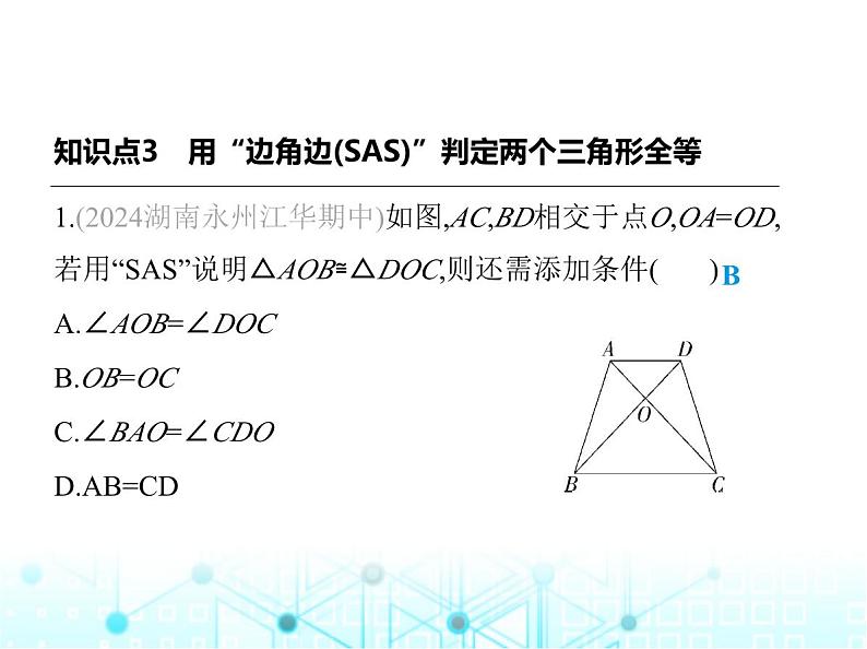 湘教版初中八年级数学上册2-5全等三角形第2课时SAS课件第2页