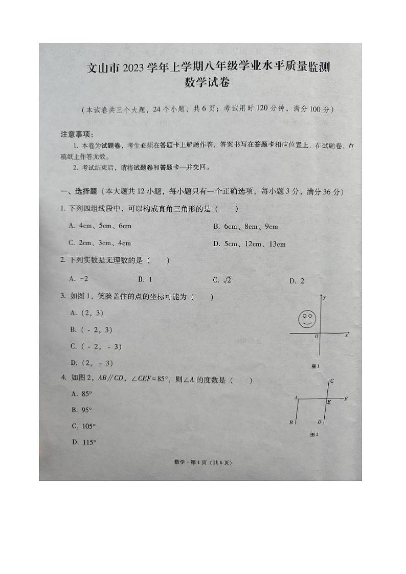 云南省文山州文山市2023-2024学年上学期八年级学业水平质量监测数学试卷第1页