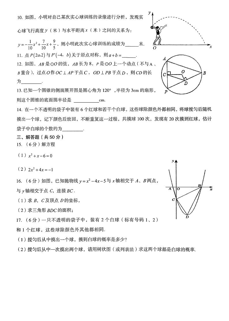 新疆维吾尔自治区喀什地区英吉沙县2023-2024学年九年级上学期1月期末数学试题02