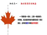 2.3 轴对称图形（课件）