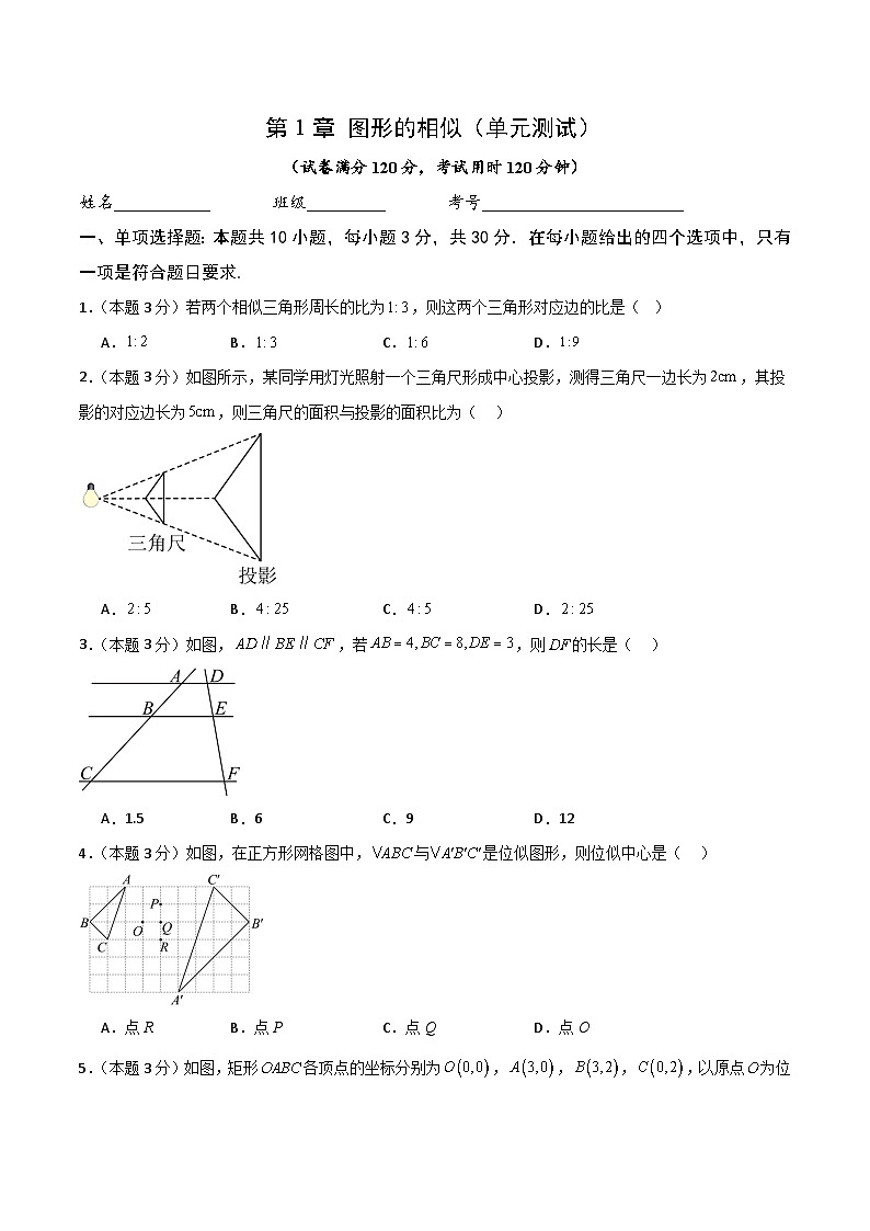 第1章 图形的相似（单元测试）-2024-2025学年9上数学同步课堂（青岛版）01