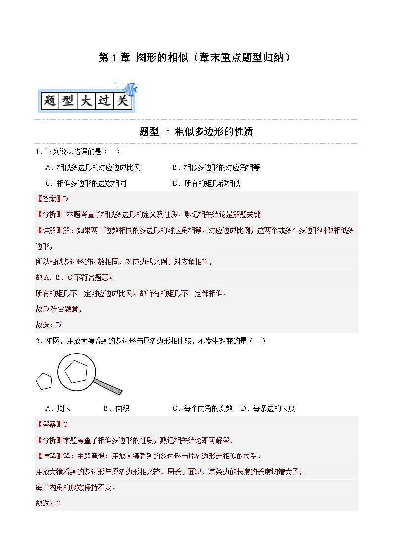 第1章 图形的相似（章末重点题型归纳）-2024-2025学年9上数学同步课堂（青岛版）01