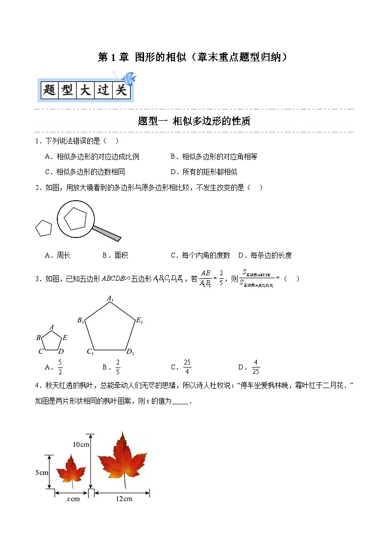 第1章 图形的相似（章末重点题型归纳）-2024-2025学年9上数学同步课堂（青岛版）01