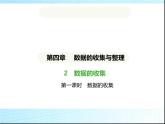 鲁教版六年级数学上册第4章数据的收集与整理2第1课时数据的收集课件