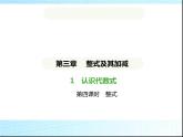 鲁教版六年级数学上册第3章整式及其加减1第4课时整式练习课件