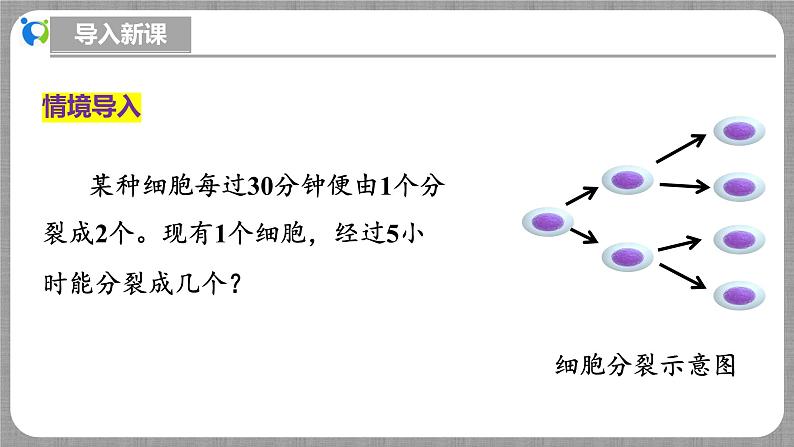 北师大版数学七年级上册 2.4.1 有理数的乘方第1课时 课件第4页