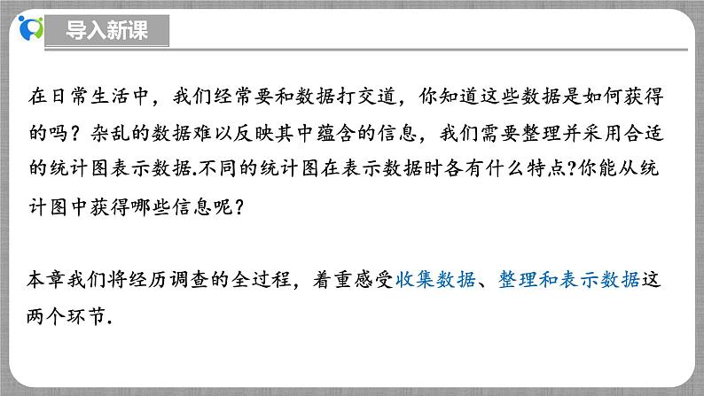 北师大版数学七年级上册 6.2.1 数据的收集 课件第5页