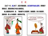 3.3 分式的乘法与除法8年级数学上册教学课件（青岛版）