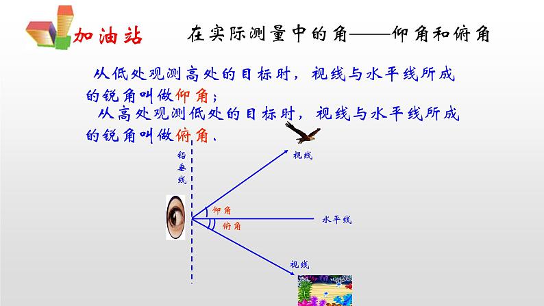 2.5 解直角三角形的应用（第1课时，俯仰角）（同步课件）-2024-2025学年9上数学同步课堂（青岛版）05