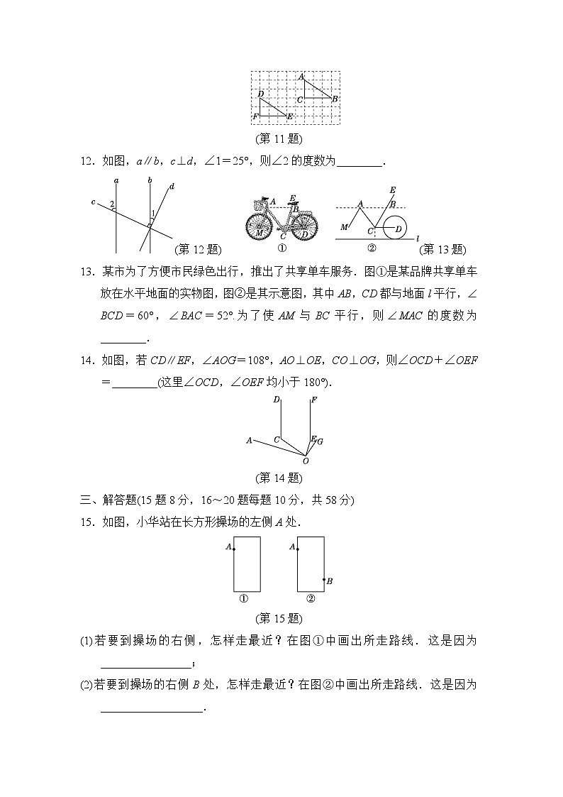 数学华师版（2024）七上 第4章学情评估03