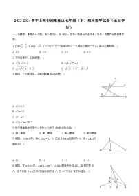 2023-2024学年上海市浦东新区七年级(下)期末数学试卷(五四学制)(含详细答案解析)
