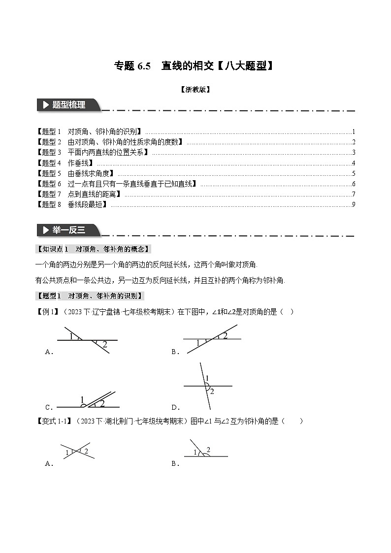 专题6.5 直线的相交【八大题型】-最新七年级数学上册重点题型和专项训练系列（浙教版）01