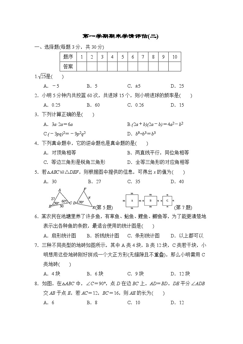 华师版数学八上 第一学期期末学情评估试卷第1页