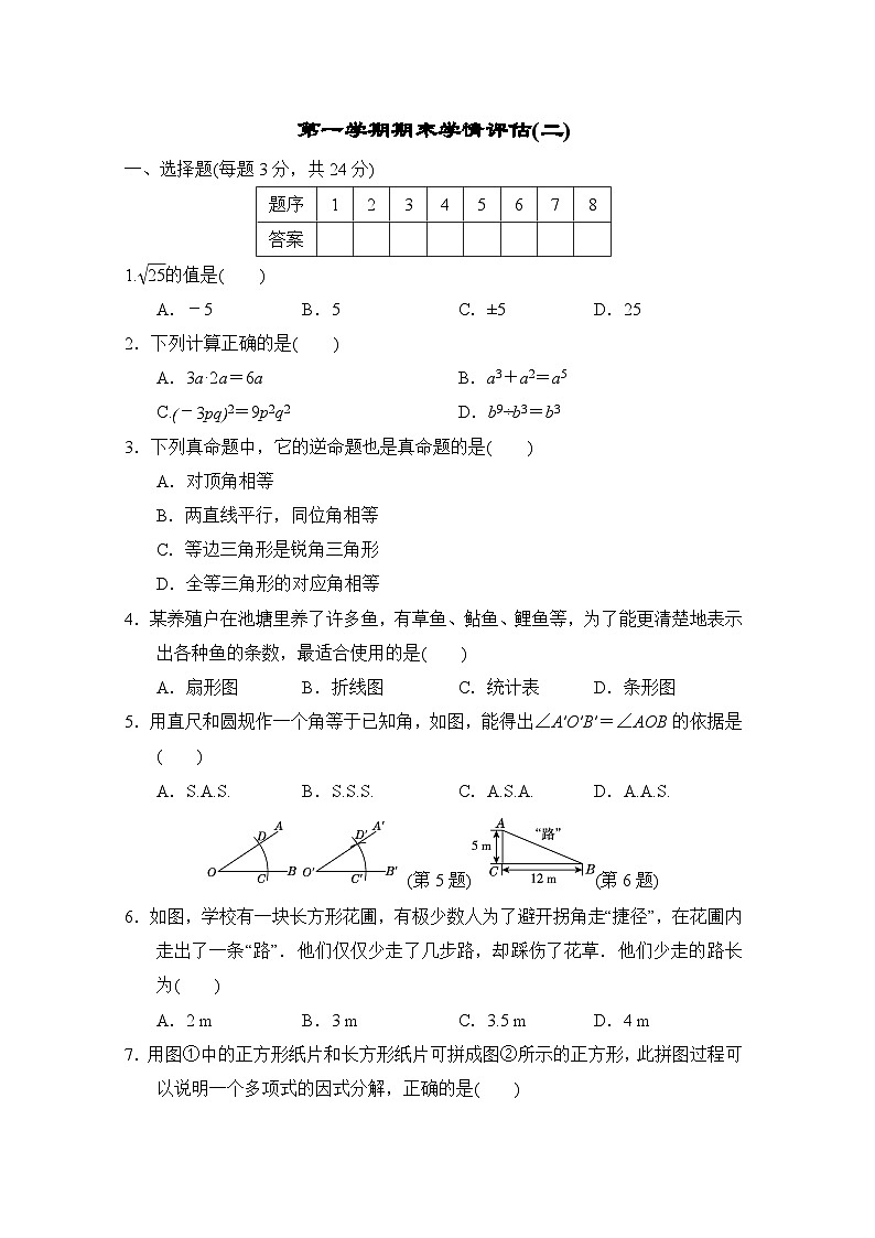 华师版数学八上 期末学情评估试卷01